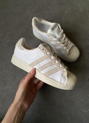 Кроссовки adidas superstar white/beige