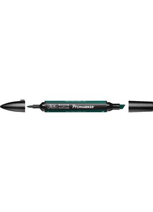 Маркер двосторонній кисточный winsor newton promarker різдвяний зелений g724