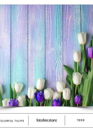 Вініловий фотофон colorful tulips