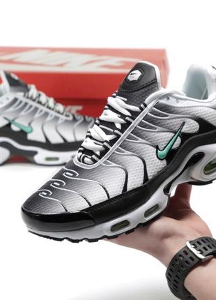 Кроссовки nike air max plus tn