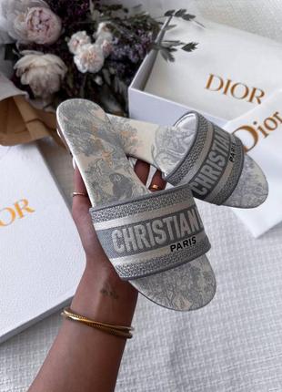 Кристиан диор шлепки серебристые christian dior sandal white grey