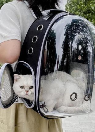 Рюкзак для котика