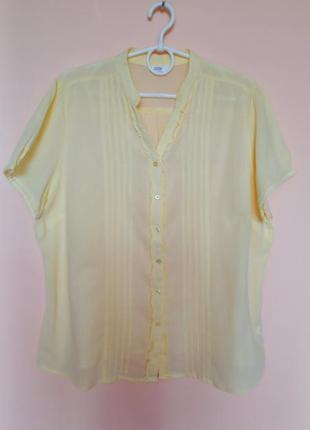 Бледо желтая хлопковая блузка, блуза 100% хлопок батал 54-56 г.