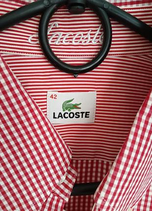 Шикарная трендовая рубашка в клетку lacoste 🐊3 фото
