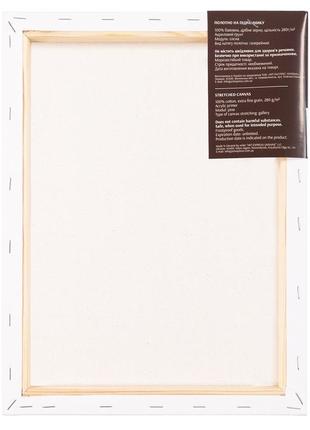 Полотно на підрамнику rosa модуль №00 бавовна дрібне зерно 30 x 40 см (gpa5263040)2 фото