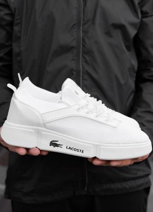 Lacoste white