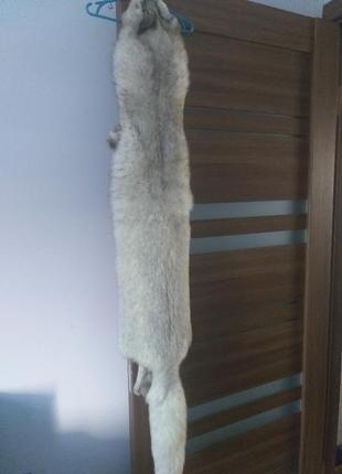 Песец