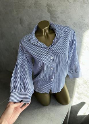Рубашка рубашка в полоску синяя белая блузка кофта блузка