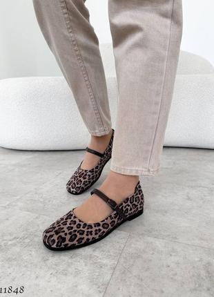 Леопардовые натуральные велюровые туфли балетки с ремешком квадратным носом