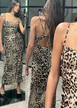Сукня міді середньої довжини з тваринним лео леопардовим принтом zara7 фото