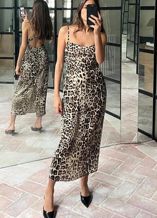 Сукня міді середньої довжини з тваринним лео леопардовим принтом zara