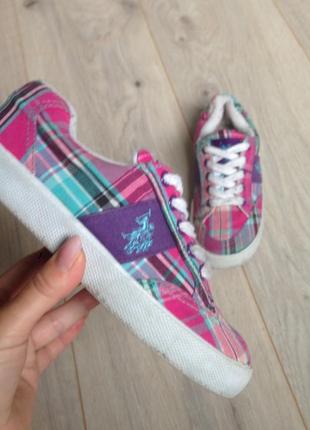 Кеди u.s. polo assn р. 33