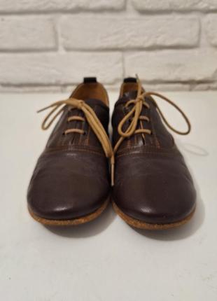 Мега зручні шкіряні туфлі fly london, коричневі, на шнурках, 38 розмір, преміум бренд5 фото