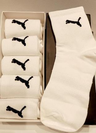 Носки жіночі/чоловічі champion розмір 38-45 білі