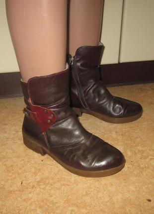Демісезонні коричневі шкіряні черевики.2 фото