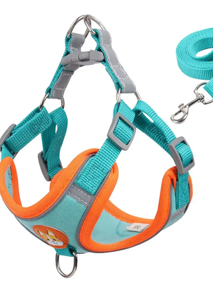 Набір анатомічна шлейка та повідець для собак маленьких порід