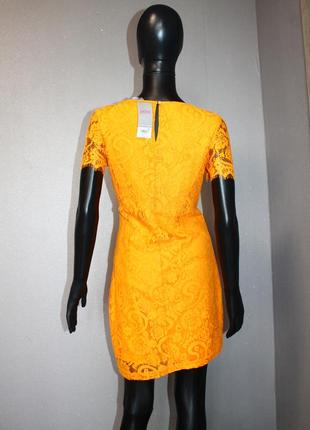 Мереживна сукня dorothy perkins4 фото