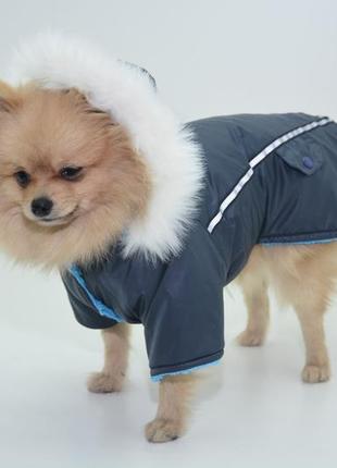 Куртка для собаки осень 34/46 см синяя