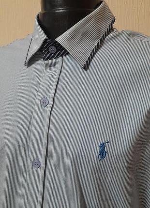 Шикарная рубашка белого цвет в голубую полоску polo by ralph lauren, молниеносная отправка3 фото