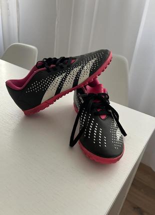 Сороканіжки  adidas predator