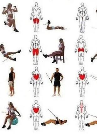 Резинки для тренировок | эспандер | набор эспандеров для упражнений