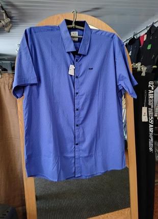 Синя сорочка великого розміру на кнопках з коротким рукавом rcp exclusive5 фото