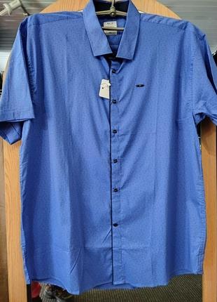Синя сорочка великого розміру на кнопках з коротким рукавом rcp exclusive1 фото