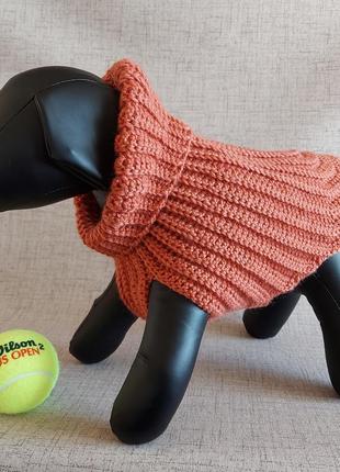 Мягкий вязаный крючком шерстяной свитер-худи с воротником-капюшоном для котов и собак оранж