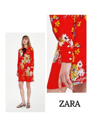 Плаття zara