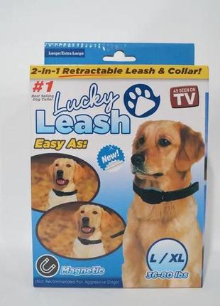 Ошейник с поводком для собак lukry leash