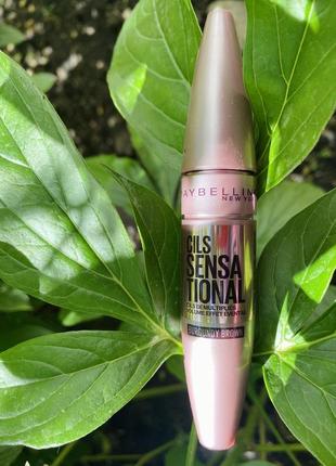 Maybelline lash sensational mascara 06 burgundy brown