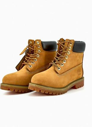 Ботинки timberland ginger