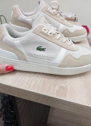 Кросівки lacoste