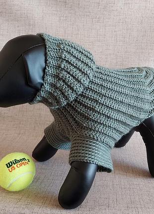 Мягкий вязаный крючком шерстяной свитер-толстовка с капюшоном, худи зеленая оливка для котов и собак