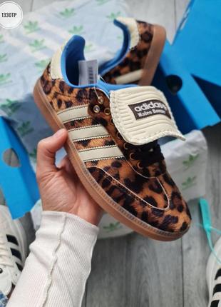 Кросівки adidas samba x walles bonner leopard