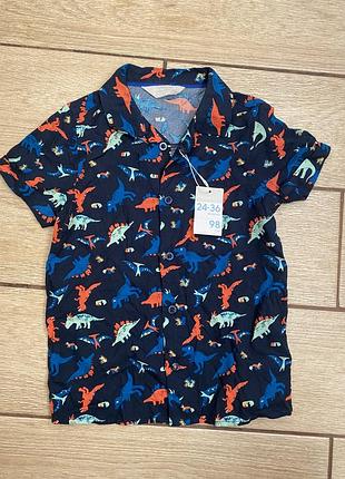 Сорочка для хлопчика з динозаврами
