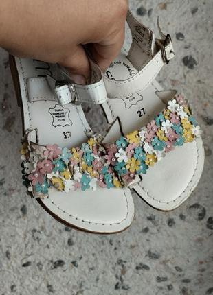 Босоножки, сандалии босоножки кожаные сандали miss