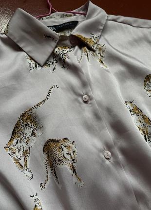 Пудрова блуза сорочка zara принт лео3 фото