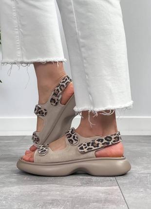 Бежеві леопардові жіночі босоніжки сандалі на липучках на високій підошві потовщеній з натуральної замші замшеві леопардові босоніжки на липучках