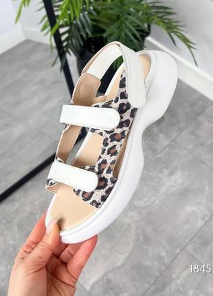 Белые леопардовые женские босоножки сандалии на липучках из натуральной кожи кожаные босоножки сандалии на липучках лео6 фото