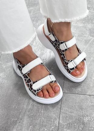 Белые леопардовые женские босоножки сандалии на липучках из натуральной кожи кожаные босоножки сандалии на липучках лео5 фото