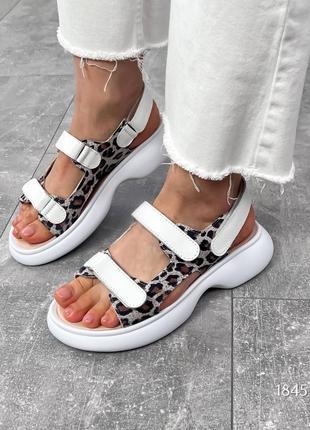Белые леопардовые женские босоножки сандалии на липучках из натуральной кожи кожаные босоножки сандалии на липучках лео3 фото