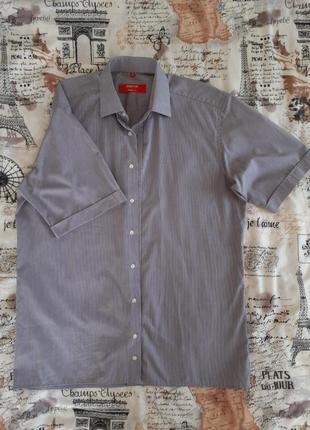 Рубашка классическая eterna, размер 41 (l)