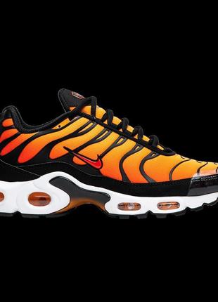 Air max plus sunset