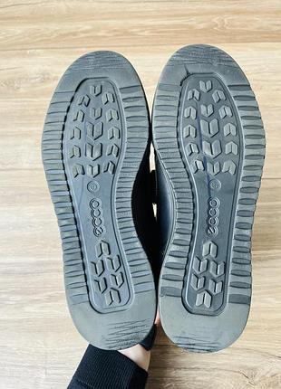 Кросівки ecco 7