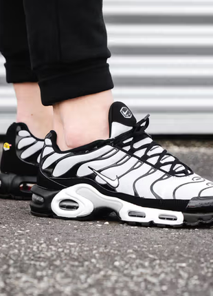 Мужские кроссовки nike air max tn