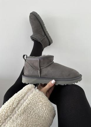 Зимові жіночі черевики ugg premium ultra mini grey suede premium 💚