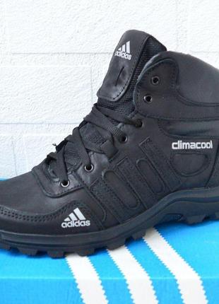 Зимові кросівки чоловічі adidas climacool