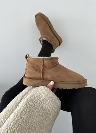 Зимові жіночі черевики ugg premium ultra mini chestnut suede premium 🧡