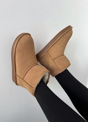 Зимние женские ботинки ugg mini ginger suede 🧡